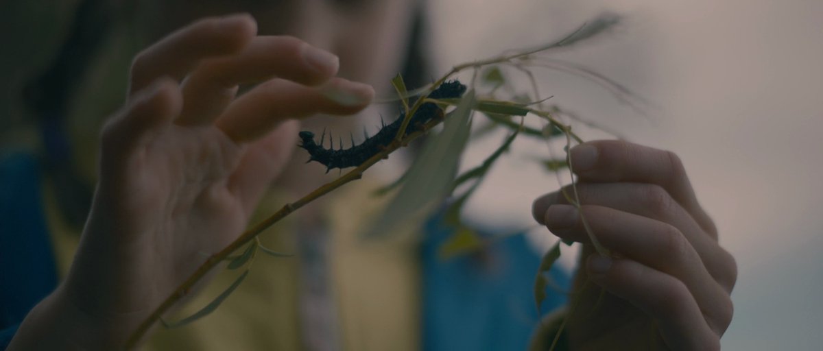 mokeysniper's tweet image. rewatched Arrival
the things i'd sacrifice to watch it for the first time again