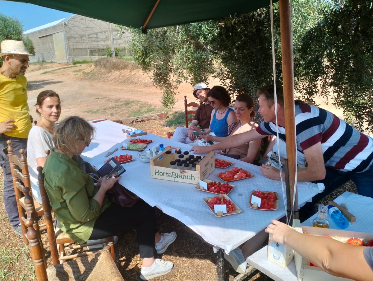 Espigoladors (@espigoladors) on Twitter photo El projecte europeu #SOULFOOD finalitza amb dues jornades a Reus després de 2 anys treballant entorn les pèrdues i el malbaratament alimentari al sector primari.
🌱Una eina digital, aliances europees i suport institucional per impulsar un sistema alimentari més just.
<a href="/Dipta_cat/">Diputació de Tarragona</a> El projecte europeu #SOULFOOD finalitza amb dues jornades a Reus després de 2 anys treballant entorn les pèrdues i el malbaratament alimentari al sector primari.
🌱Una eina digital, aliances europees i suport institucional per impulsar un sistema alimentari més just.
<a href="/Dipta_cat/">Diputació de Tarragona</a>
