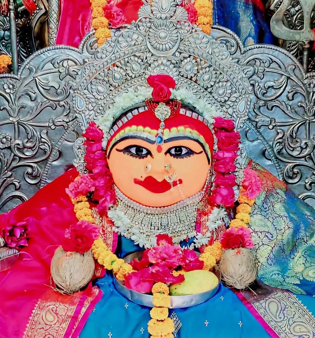 G D sharma (@gdsharma109) on Twitter photo जय मां हरसिद्धि जय माता की 
🌸🙏🏼🌸 जय मां हरसिद्धि जय माता की 
🌸🙏🏼🌸
