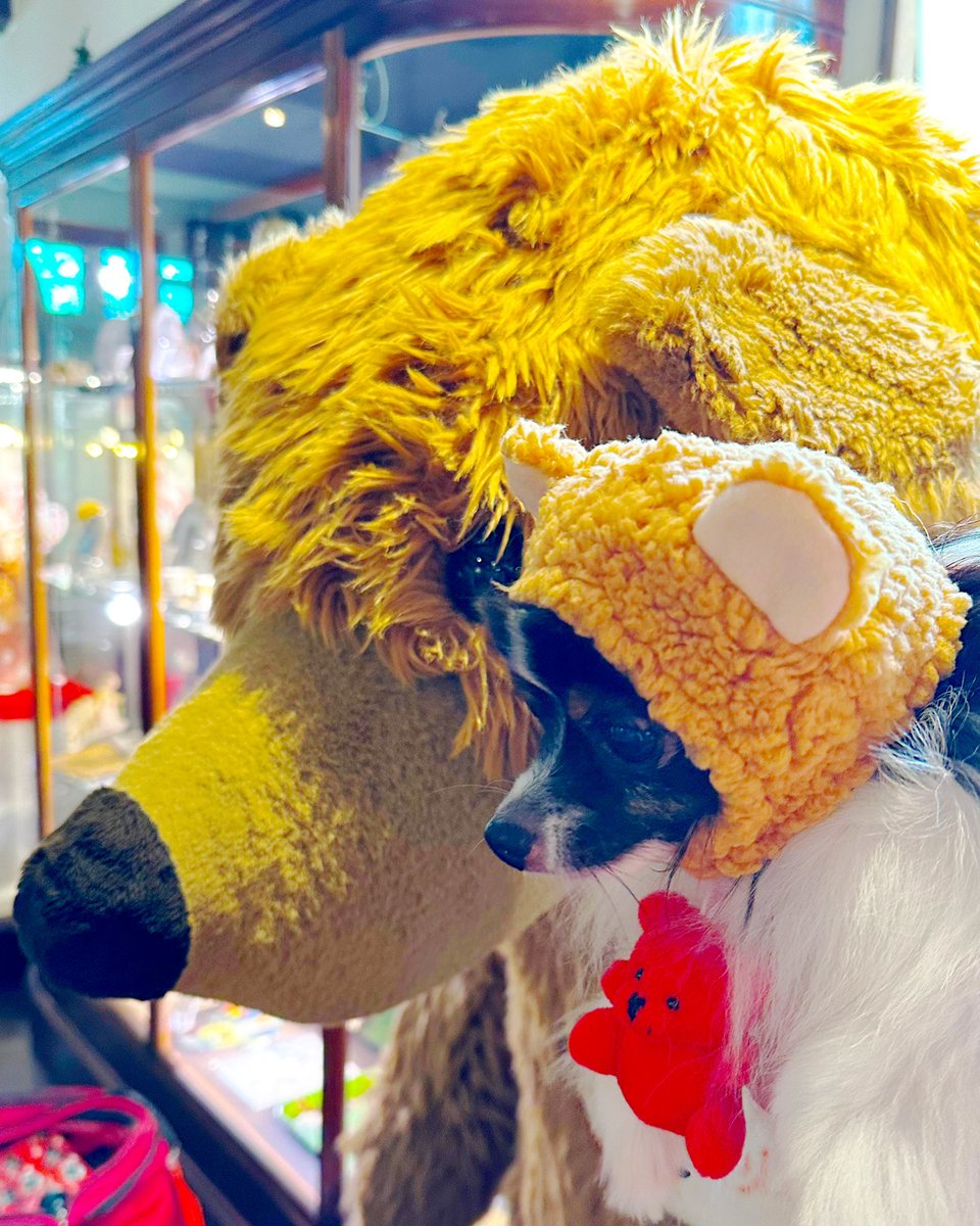 今週もおつかれさまでした🧸🧸