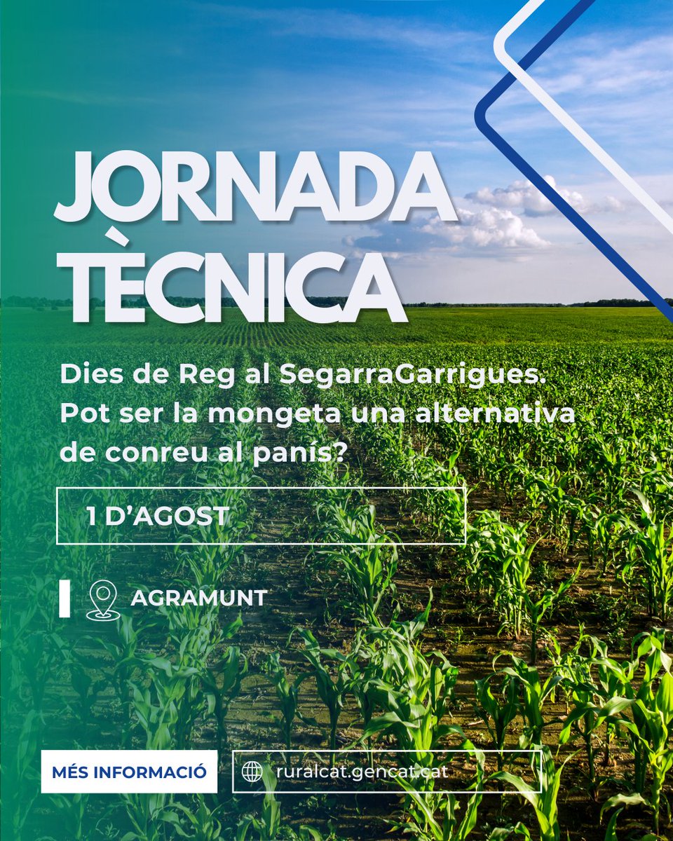 📣 JORNADA TÈCNICA | Dies de Reg al SegarraGarrigues. Pot ser la mongeta una alternativa de conreu al panís?

La jornada presentarà el projecte ImNovaBean per fomentar el cultiu sostenible i eficient de mongetes seques a Catalunya.

ℹ️ ruralcat.gencat.cat/c/document_lib…

#ASG