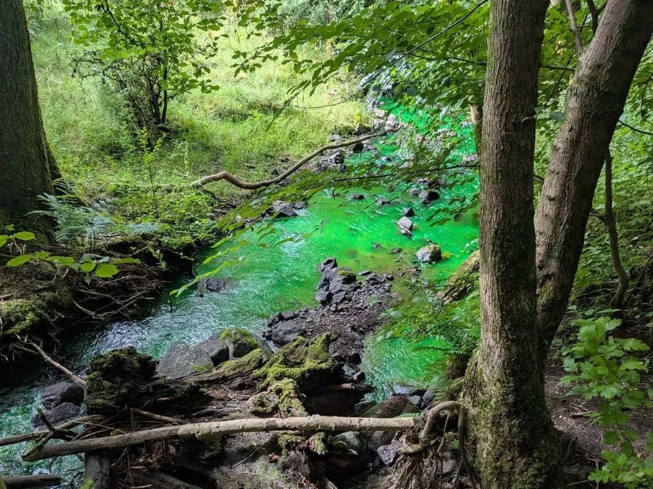 StrongSterLi's tweet photo. No cause for alarm! The bright green water at Milndavie Glen burn was due to harmless dye testing, confirmed by SEPA. No harm to the environment.  https://t.co/Hj0ed0roeQ https://t.co/IVBGRanaKK