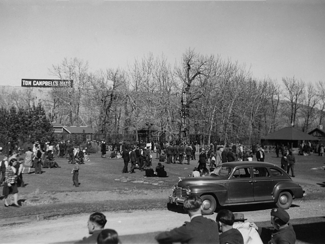 calgaryzoo's tweet image. It’s #HistoricCalgaryWeek, so we're throwing it back with a #FlashbackFriday! Founded in 1929, we’ve changed a lot—including this view facing Tom Campbell’s Hill Natural Park. One thing hasn’t changed: our commitment to wildlife. 💚 What’s your favourite zoo change?
#YourZooYYC