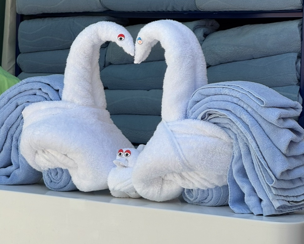 mirromori's tweet image. GOOD MORNING