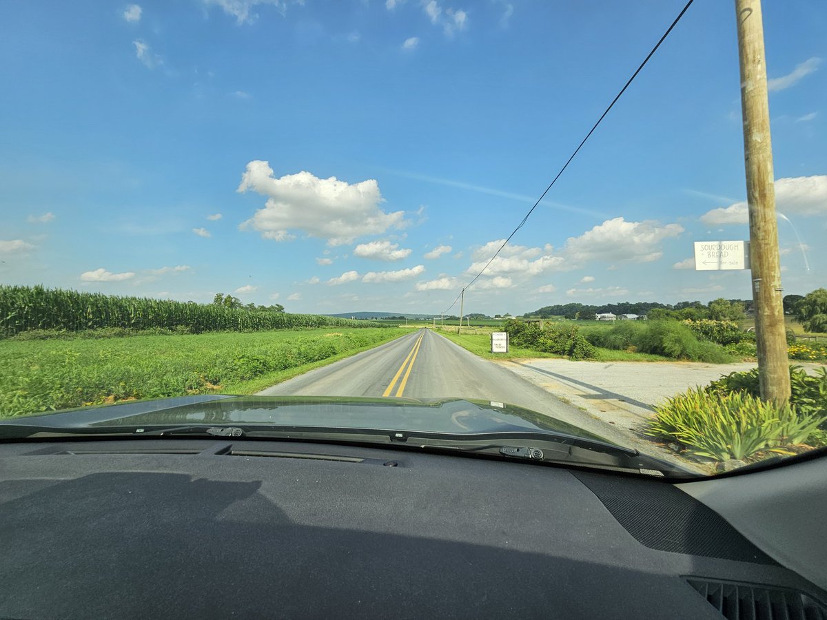 IgnorelandRadio's tweet image. In Shoegaze country with Captain Shoegaze