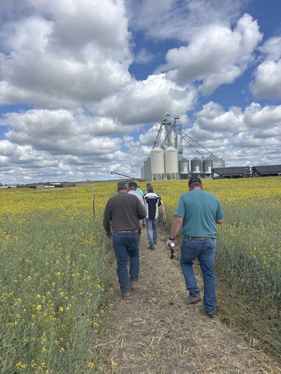 On Wednesday, we had a great field day at MJ Ag Solutions in Fairview, AB.

Thanks to Mackenzie, John, and Monica Fingerhut for putting it together, and for all the producers who joined us!