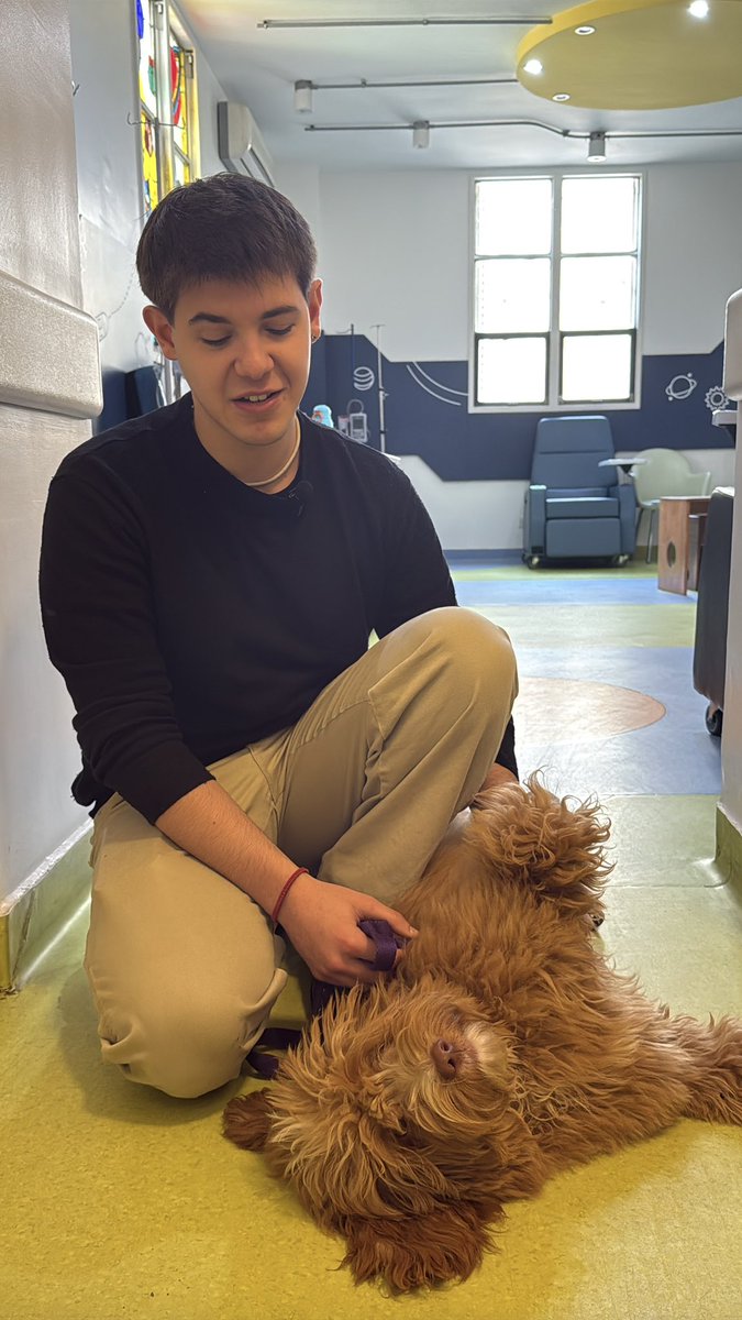 En el Hospital de Niños Ricardo
Gutiérrez dimos un paso hacia una atención más humana e integral: incorporamos progresivamente la terapia canina, con un único objetivo: aliviar el sufrimiento de los pacientes que atraviesan tratamientos largos o complejos.