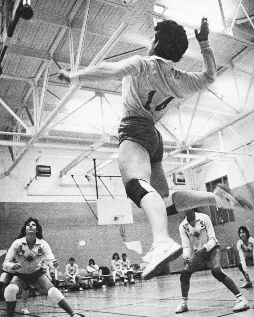 oursoutheastern's tweet image. #FlashbackFriday Lion Athletics edition 🦁🏀🏈⚾️