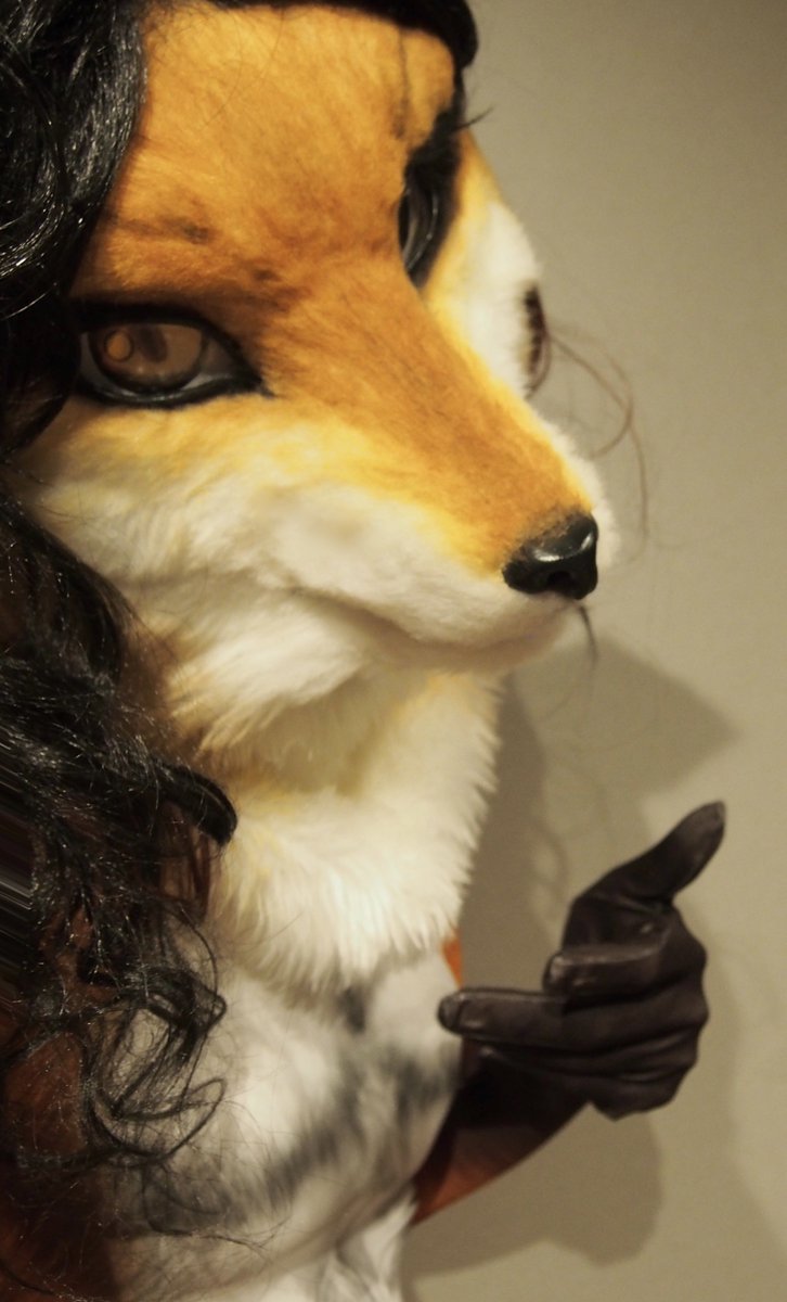 nadeka_wolf's tweet photo. 🦊 https://t.co/PIrqIjCq9x