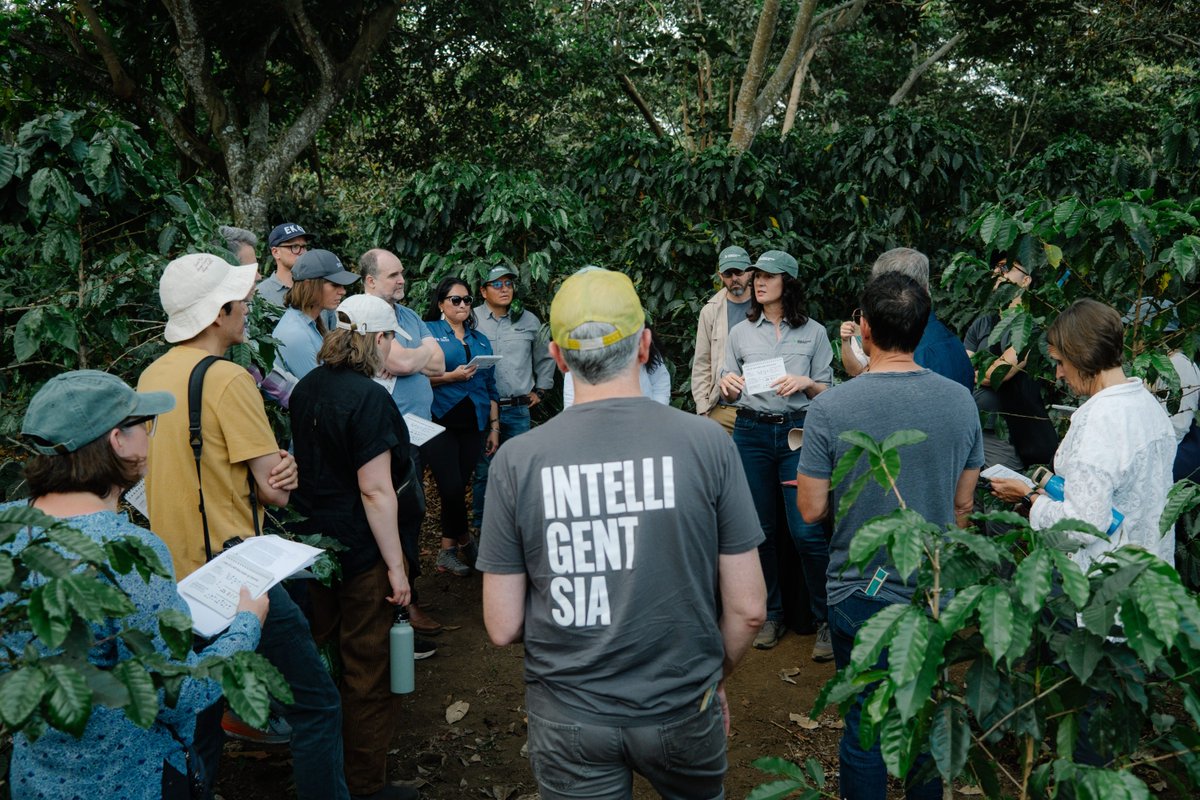 World Coffee Research (@wcoffeeresearch) on Twitter photo We are thrilled to recognize our member companies that have been a part of the World Coffee Research (WCR) community for 10 years or more as of the start of 2025:
🌱 <a href="/peetscoffee/">Peet's Coffee</a>
🌱 @keurigdrpepper
🌱 <a href="/lavazzagroup/">Lavazza Group</a>
🌱 @starbucks
🌱 @taylors
🌱 <a href="/counter_culture/">Counter Culture Coffee</a> ... We are thrilled to recognize our member companies that have been a part of the World Coffee Research (WCR) community for 10 years or more as of the start of 2025:
🌱 <a href="/peetscoffee/">Peet's Coffee</a>
🌱 @keurigdrpepper
🌱 <a href="/lavazzagroup/">Lavazza Group</a>
🌱 @starbucks
🌱 @taylors
🌱 <a href="/counter_culture/">Counter Culture Coffee</a> ...