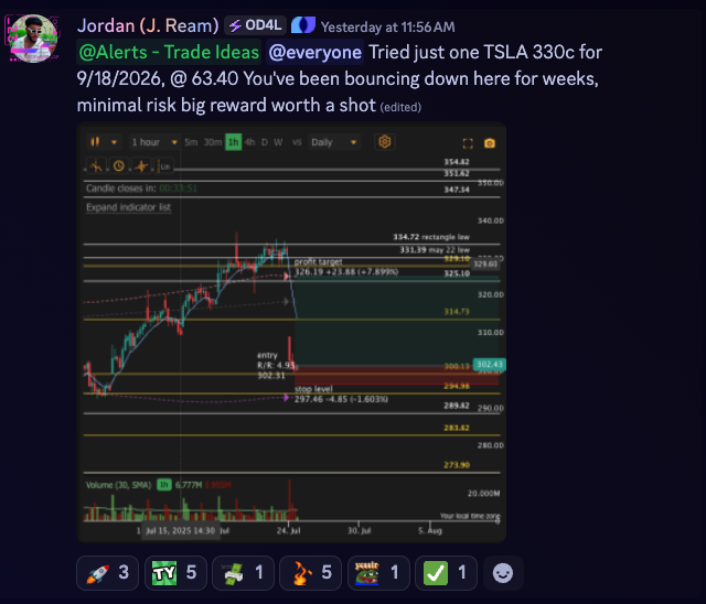 OptionDrops's tweet image. Go off kings $TSLA