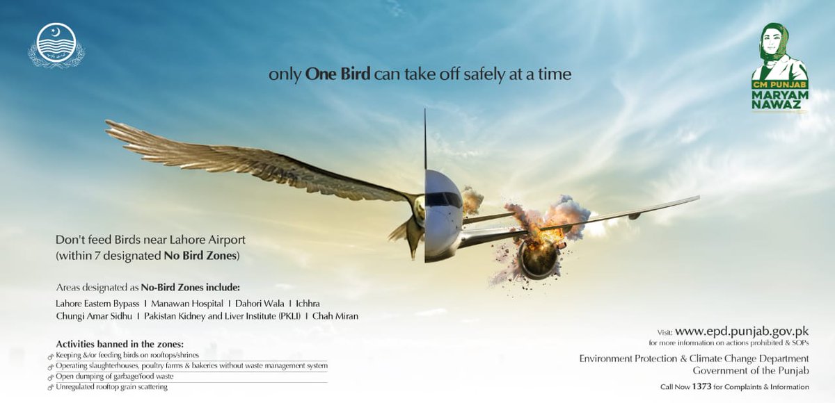 AzkaSpeaks's tweet photo. Only one bird can take off safely at a time. Feeding birds near airports can risk lives. Let’s keep our skies safe respect the No Bird Zones near Lahore Airport.
#SafeSkies #NoBirdZone #PunjabGovernment #Maryamazing https://t.co/zzVHmnizvM