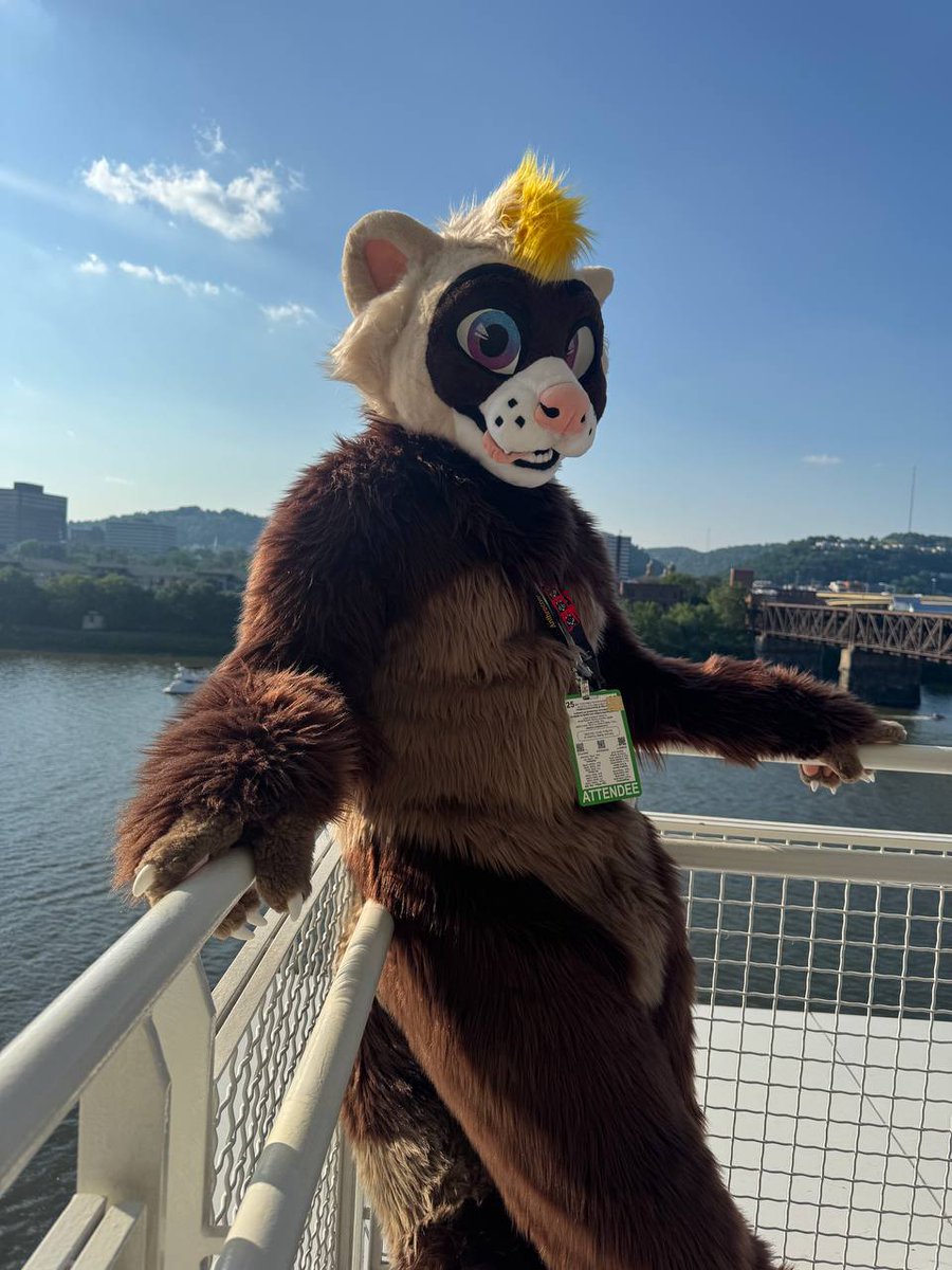 HollydaysInc's tweet image. Hokay, finally catching up and have a lil time to post recent things! 🧵🪡
@Tico_UwU 's fullsuit was completed just in time for @anthrocon 🐾 Really wish I had been able to get better pictures before shipping him off!
#FursuitFriday #ferret #fursuit #anthrocon2025