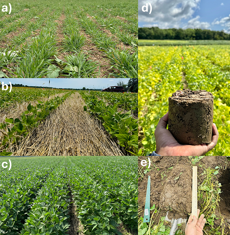 Earn 1.5 SW CEUs by reading this article "Understanding soil carbon: Key ingredient to build healthy soils" and taking the quiz: bit.ly/3UnlDM9