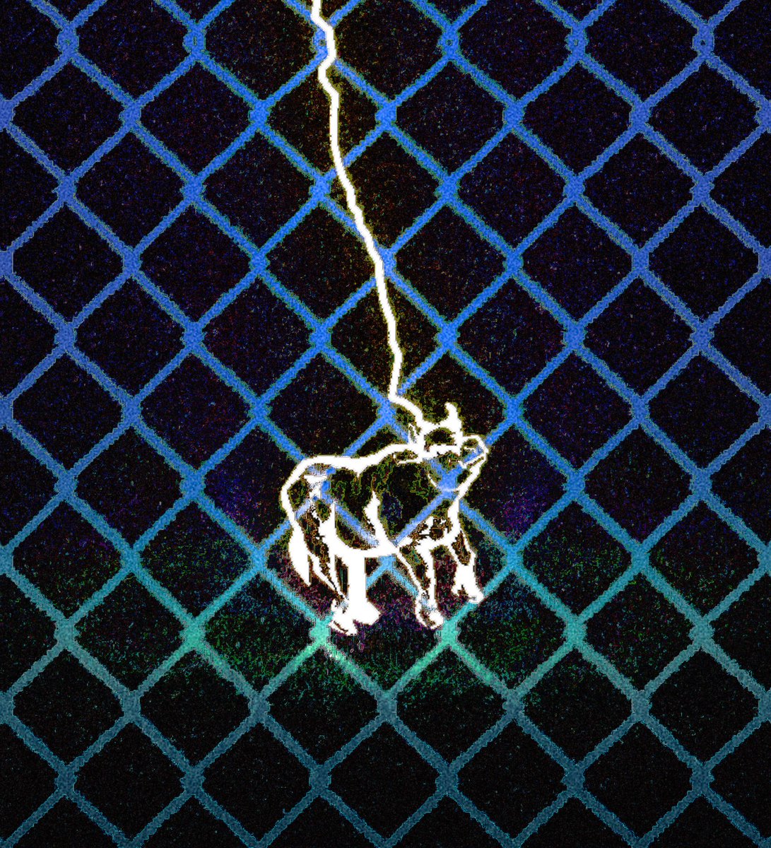 colour_charlie's tweet image. cow.dead