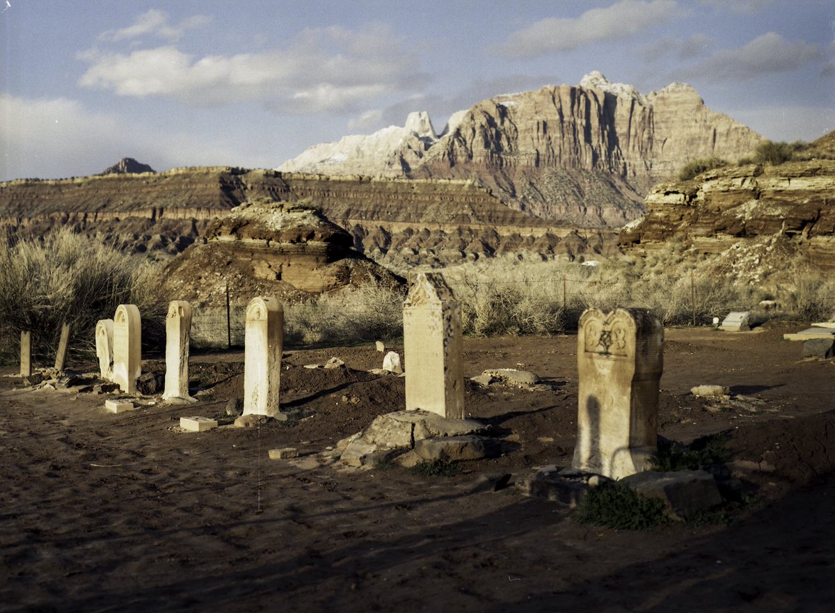 OliverWDahl's tweet image. A few frames from one of my best rolls of medium format film.