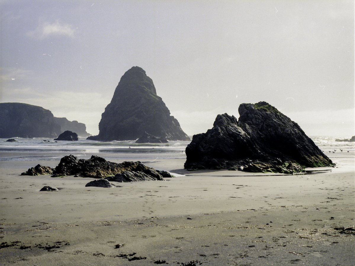 OliverWDahl's tweet image. A few frames from one of my best rolls of medium format film.