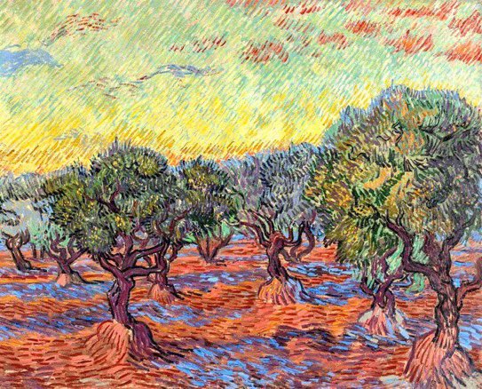 Vincent van Gogh’s olive trees