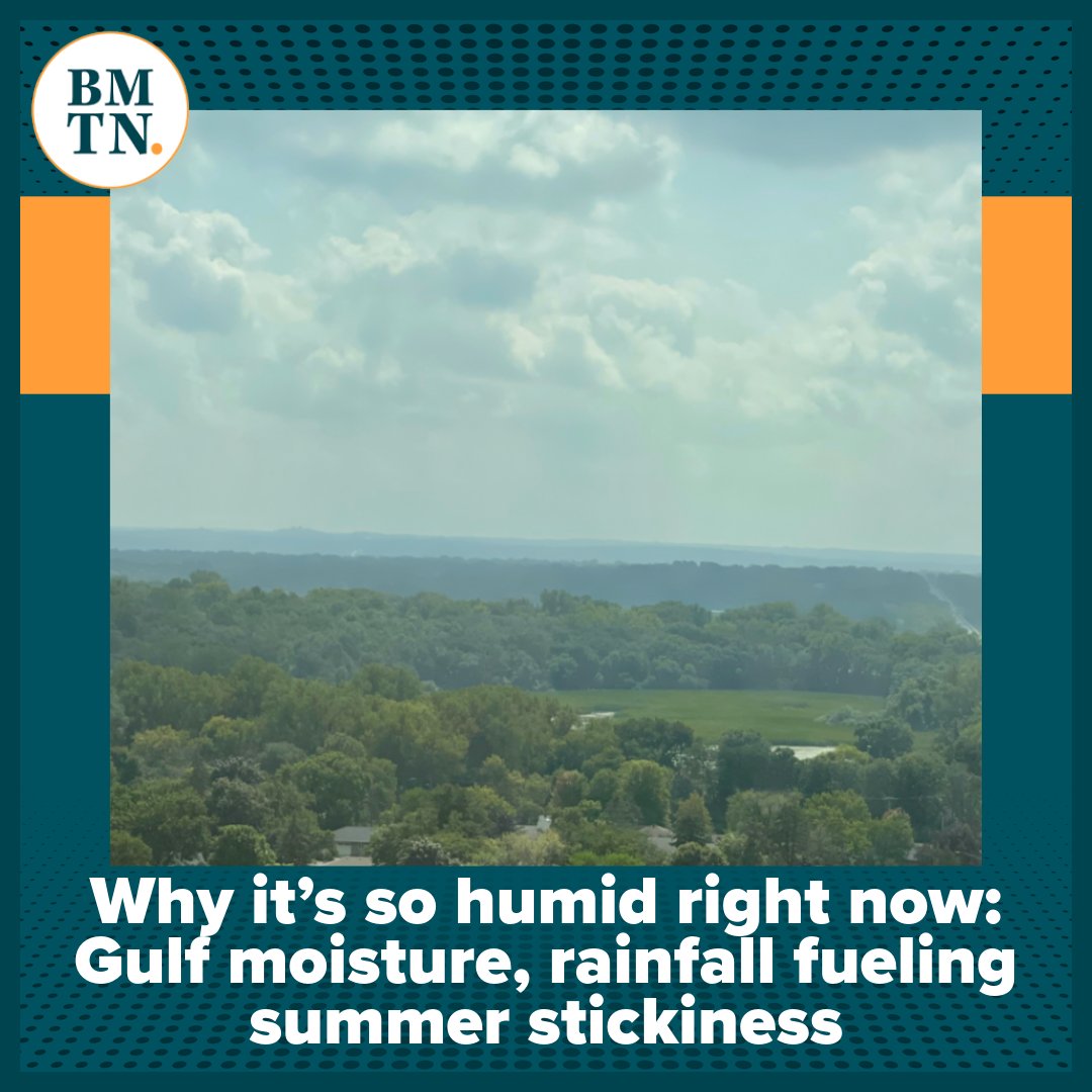 Bring Me The Weather tweet media