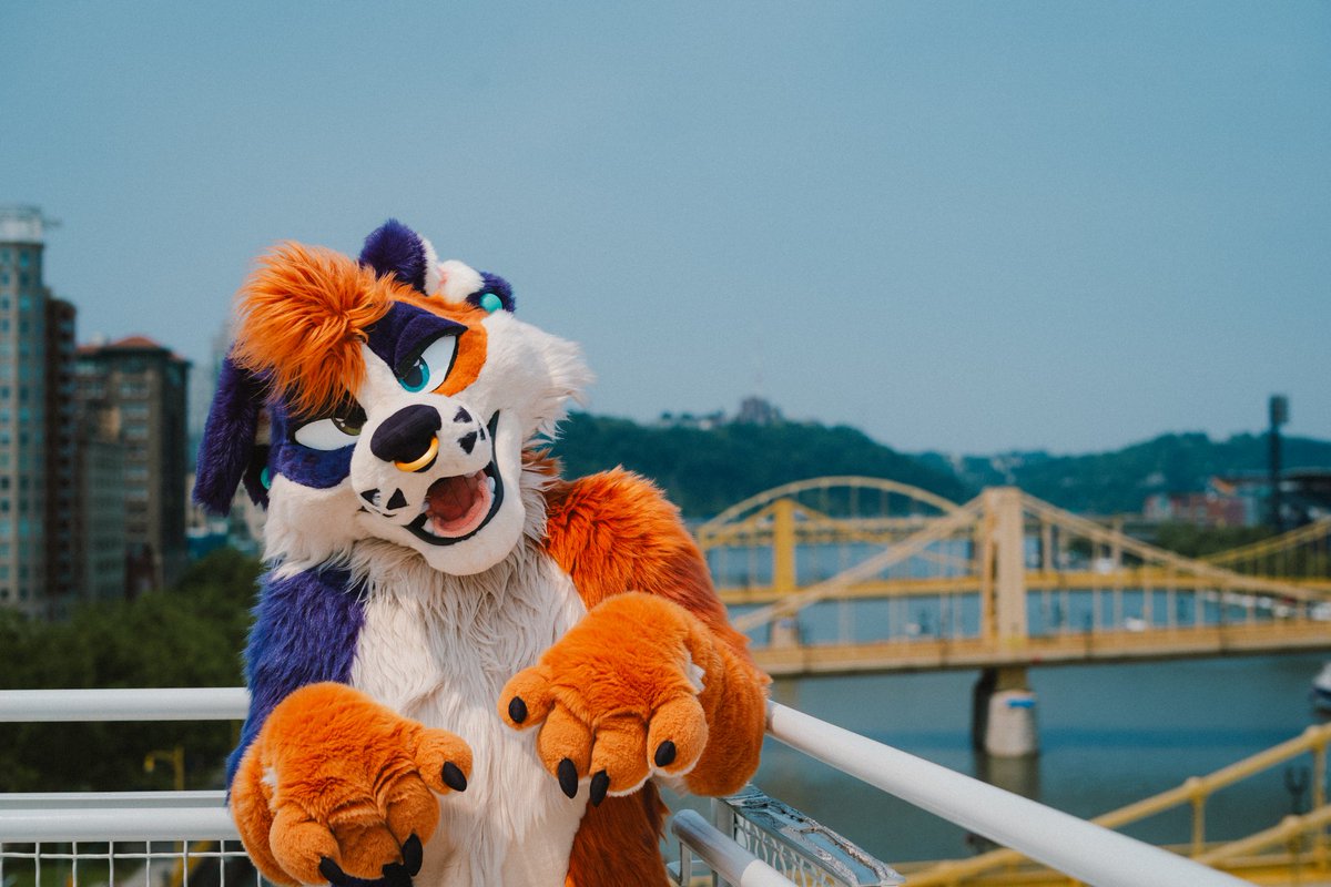 AussieFluffButt's tweet image. Feeling very puppy brained, no thoughts just arf arf bark bark 🐕
📸 - @luke_spots
#FursuitFriday
