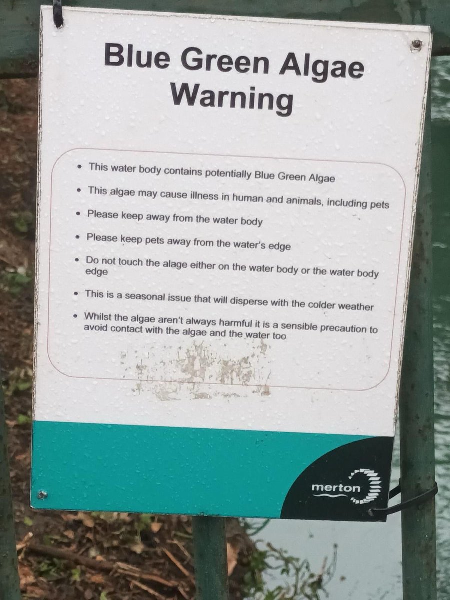 Dom Foster tweet media