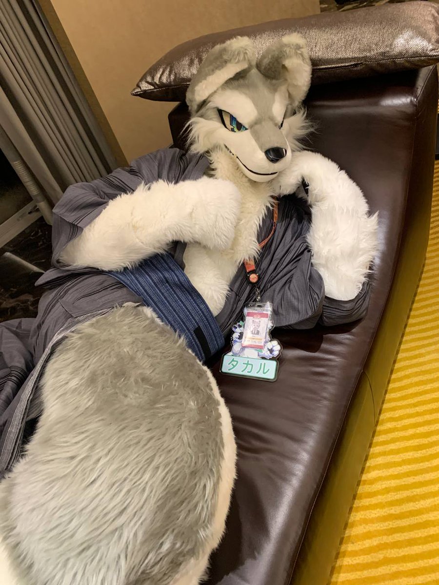 a82102111's tweet image. 一緒に寝て〜！🤗💚
 
#FursuitFriday
📷 ： @Ecopin_wolf