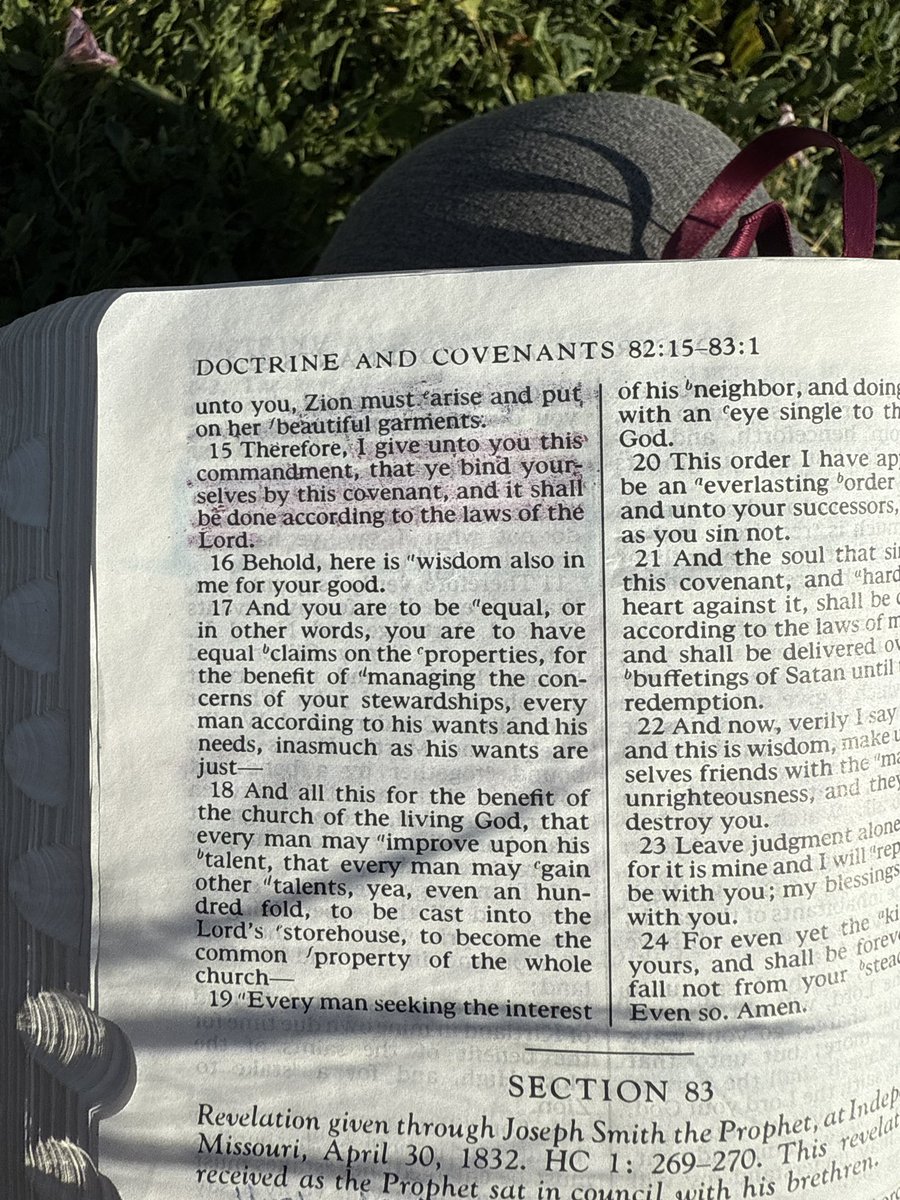 StephCardozoPod's tweet image. I’m just gonna leave these here… with the thought that maybe Joseph Smith made less mistakes than we thought regarding sealings.