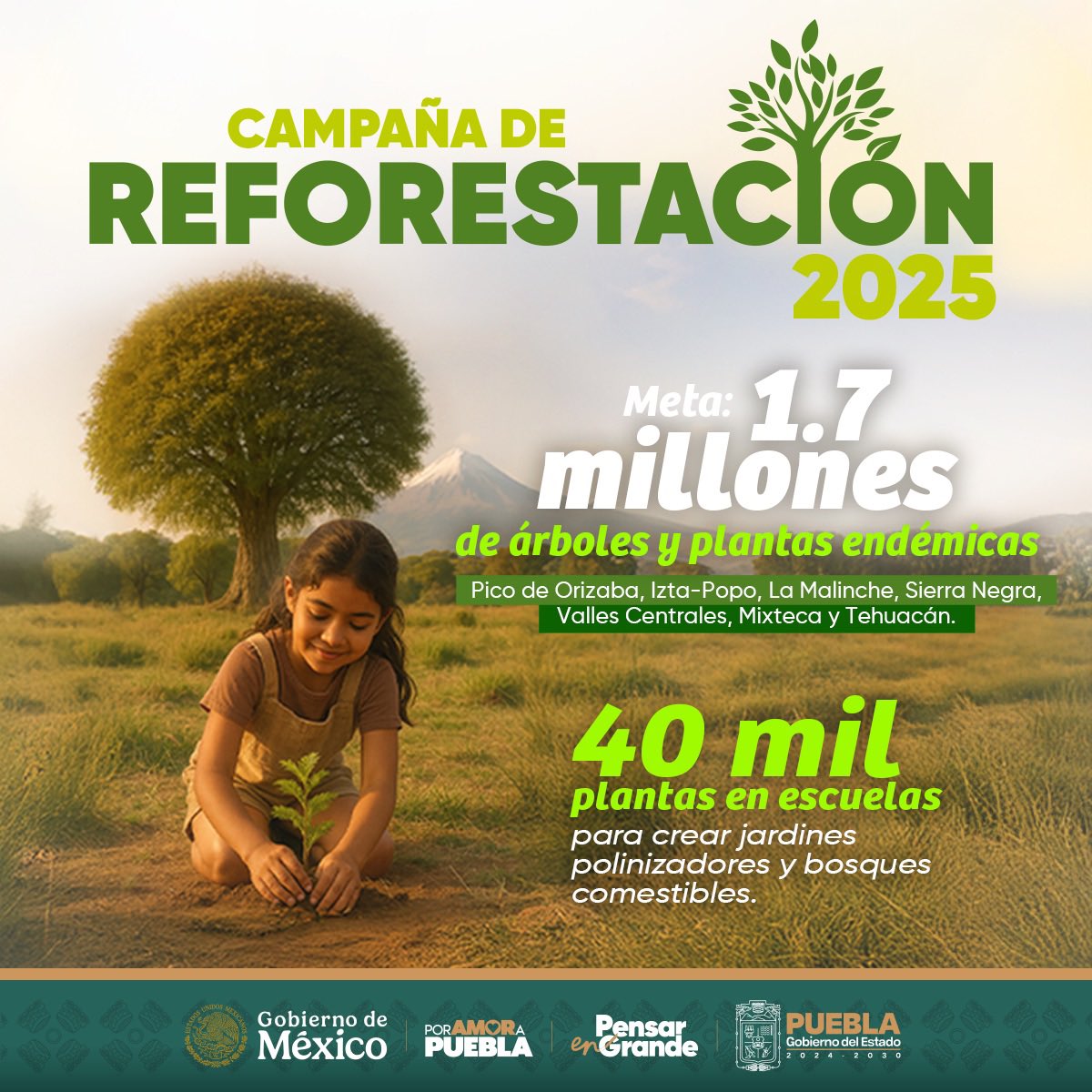 #Puebla inicia campaña de reforestación 2025

🌳 La meta es plantar 1.7 millones de árboles y plantas endémicas en siete puntos del estado 

🏫 40 mil plantas en escuelas 

#PorAmorAPuebla 
#PensarEnGrande