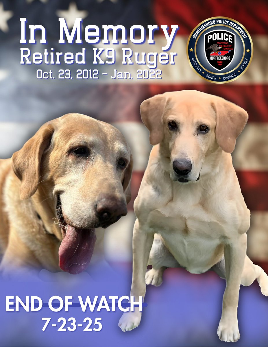 We are saddened to announce the passing of the department’s longest working K9, Ruger.  Ruger retired in January 2022 and passed away on Wednesday, July 23.  Ruger was trained in narcotics and made a significant impact in fighting crime in the City of Murfreesboro.