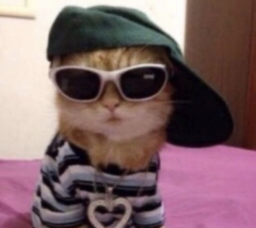 exheybhyunjunx's tweet photo. 🧢🐱👓 # ㅡ NㅌwPrㅁfiㅣePiㄷ https://t.co/x5ZfgNYfAa