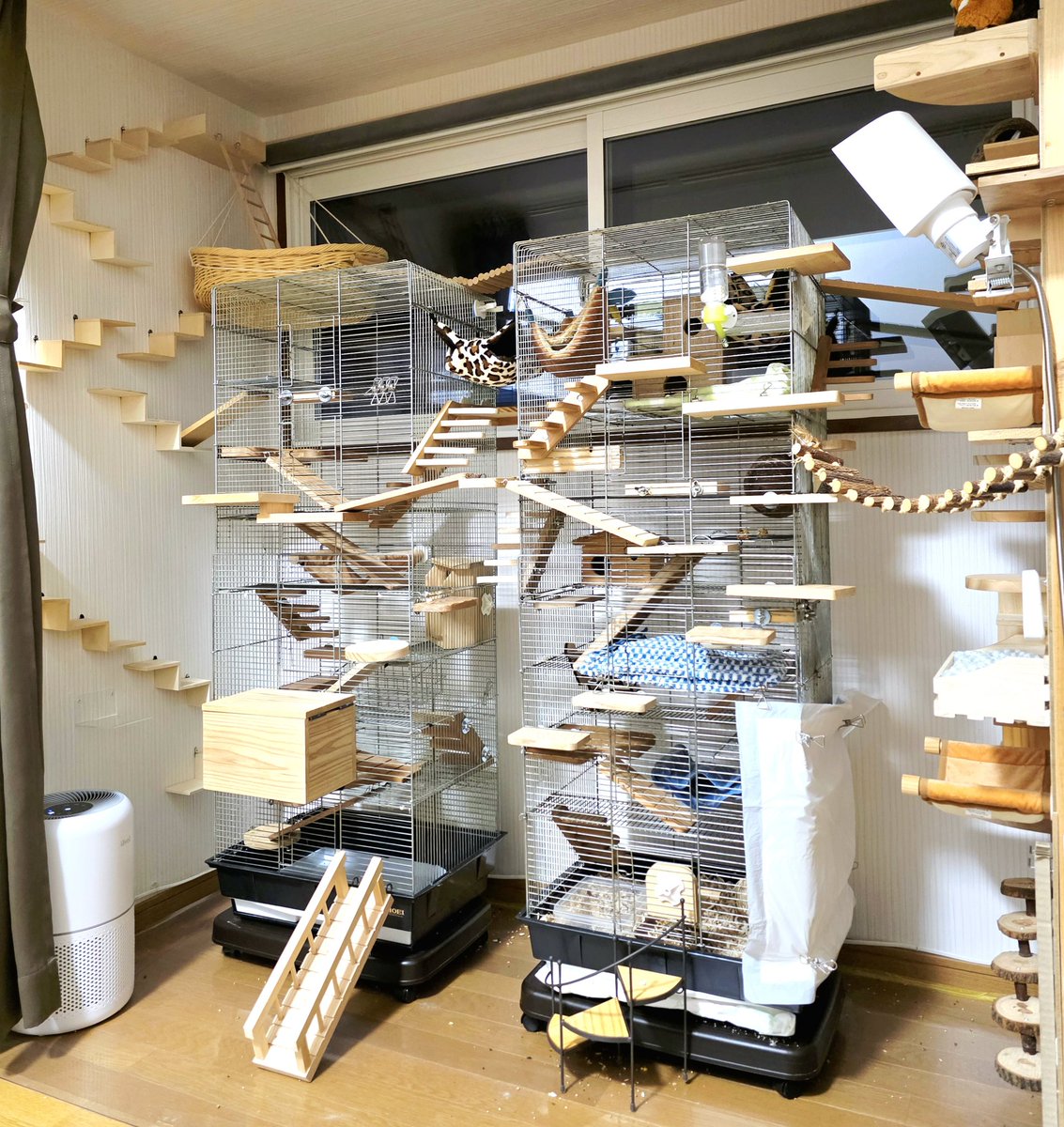reimarron0402's tweet image. リッス🐿️のアスレチックがリニューアル