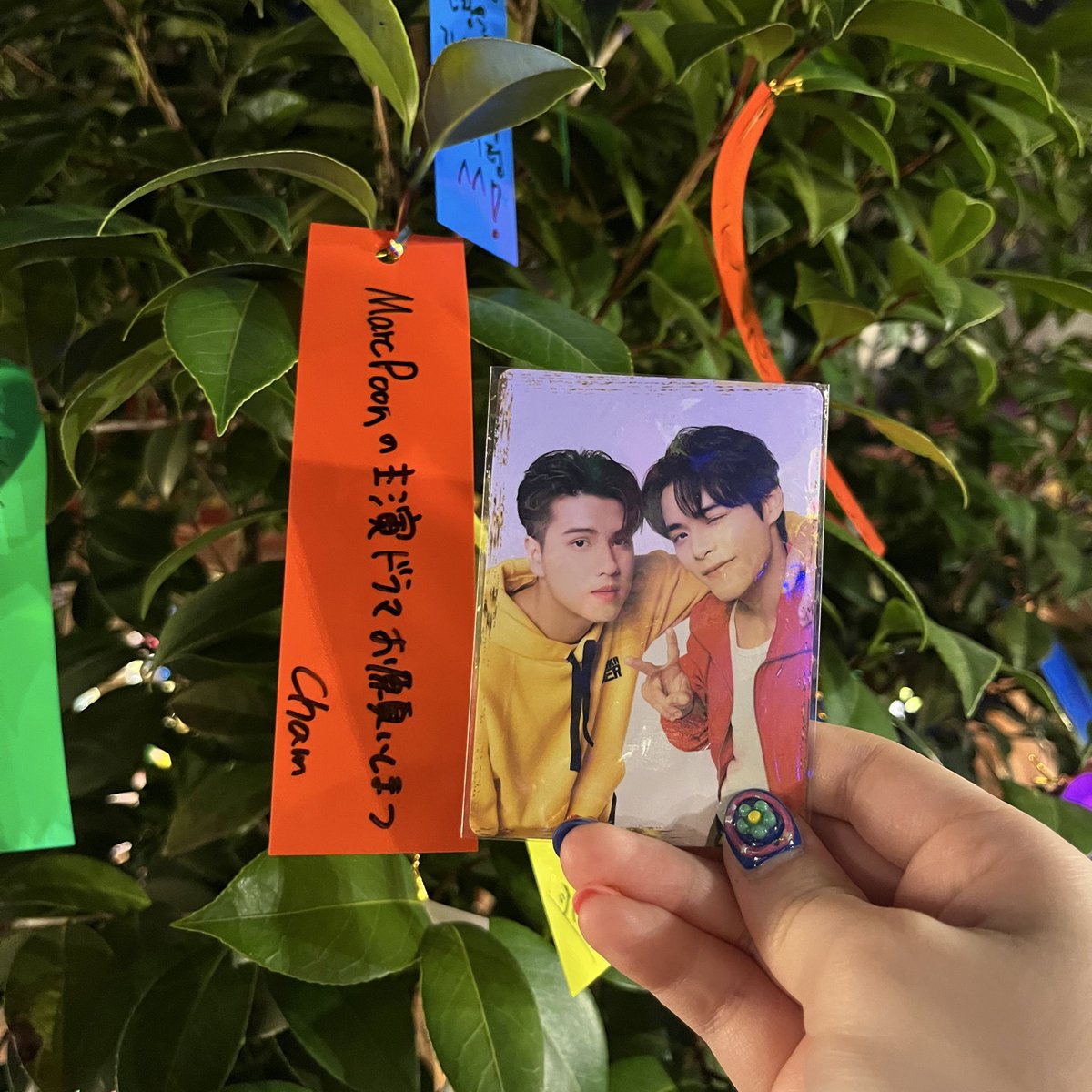 56cha6's tweet image. 道後に来て私利私欲七夕行為