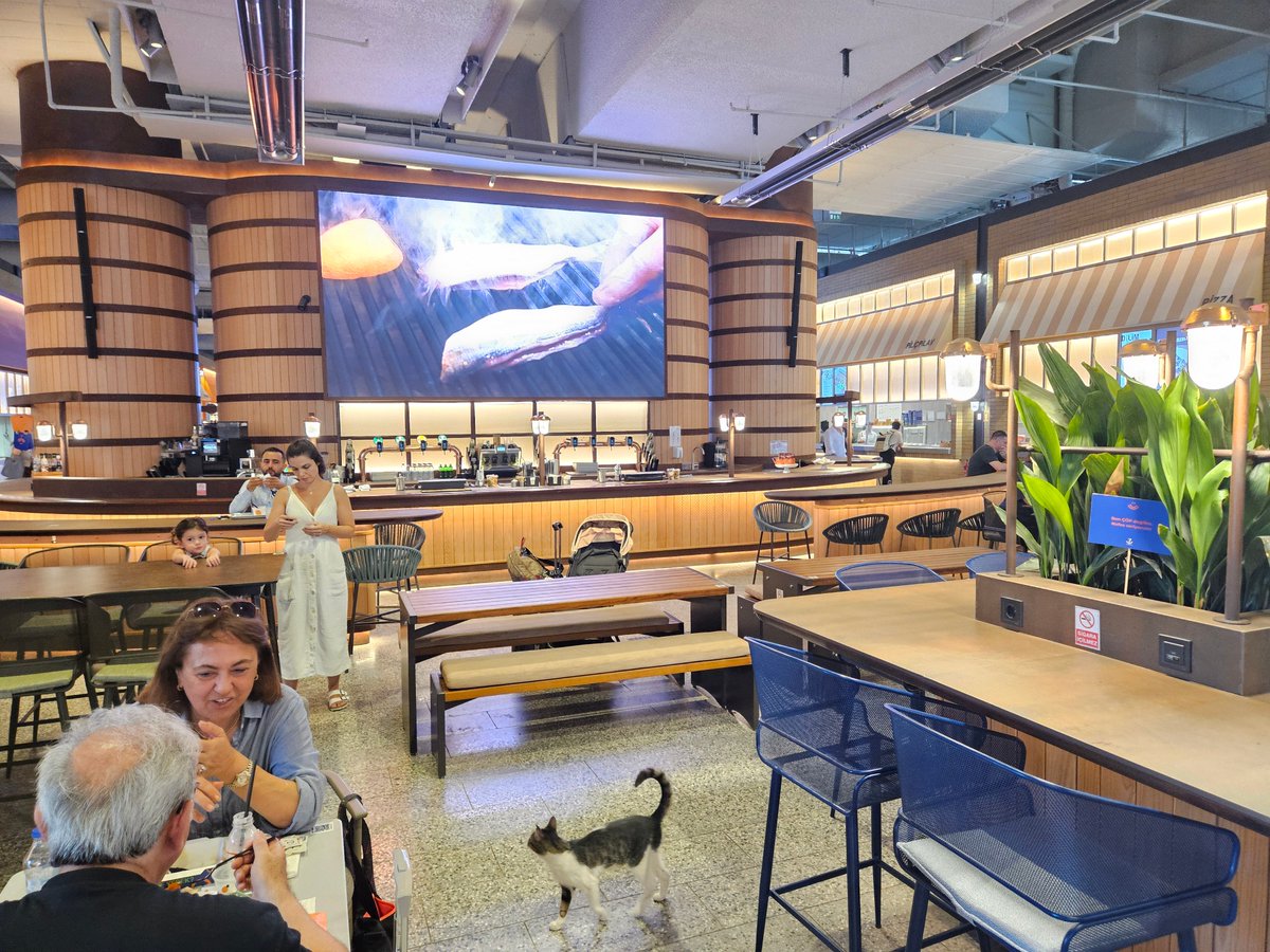 superalbs's tweet image. Söğütlüçeşme Station, Istanbul
It's certainly a lot better than when I last used it, with a large food court and a proper waiting area. Great to finally see transport in Istanbul improving a little... 😊