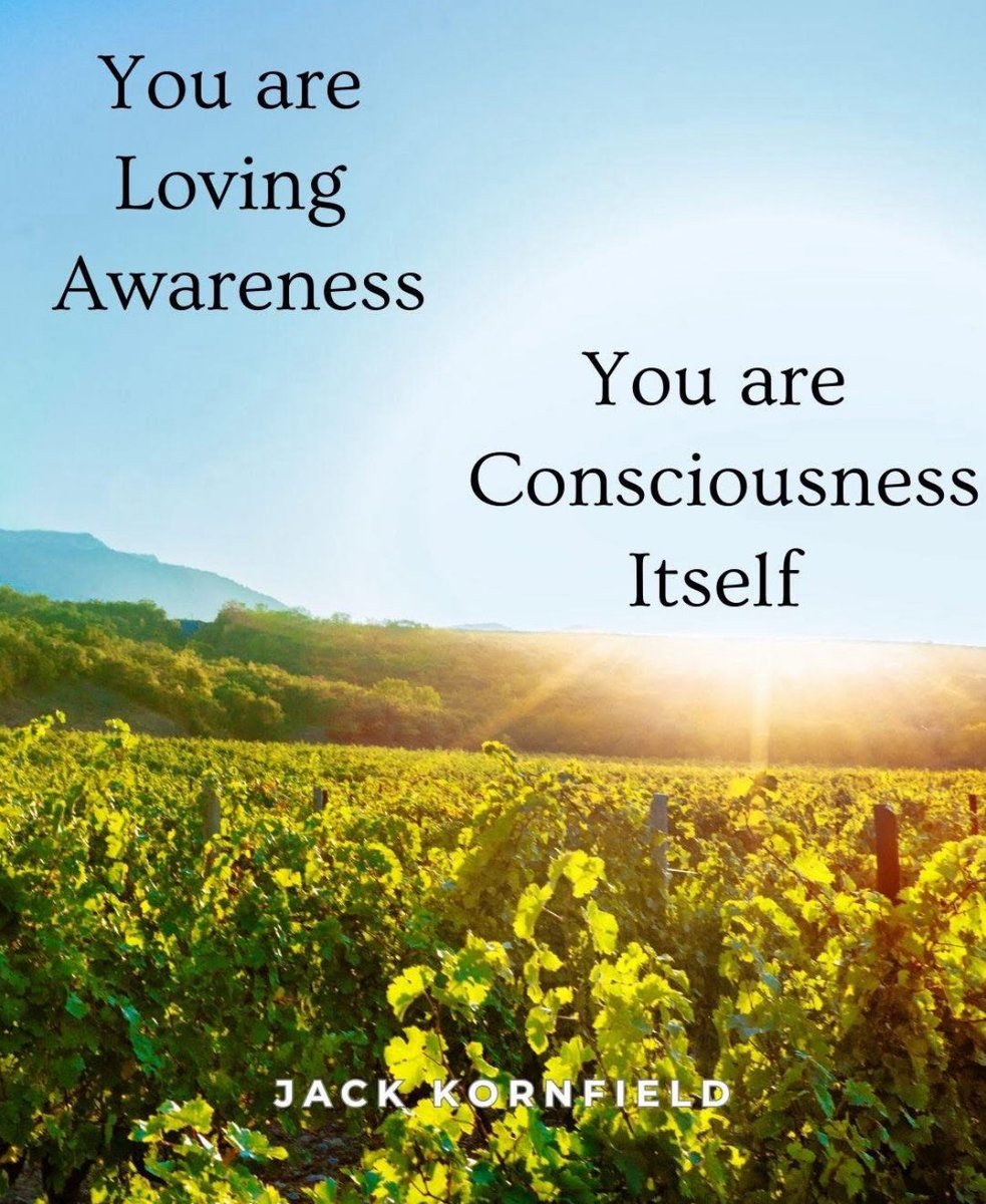 Everything breathes—the breath breathes, the heart pumps, the galaxies turn—it’s all in flow. 🌬️ Right Understanding says that there is a different dimension of reality that is not dependent on changing conditions. 

#buddhism #spirituality #lovingawareness