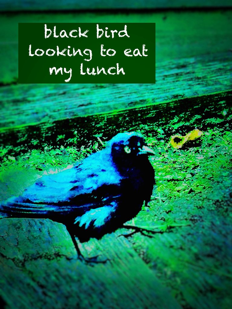 Tweet media one