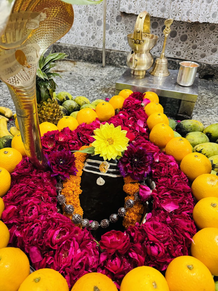 neelkanthtemple's tweet image. शुभ रात्रि श्री नीलकंठ महादेव जी
📍 श्री नीलकंठ महादेव मंदिर उत्तराखंड