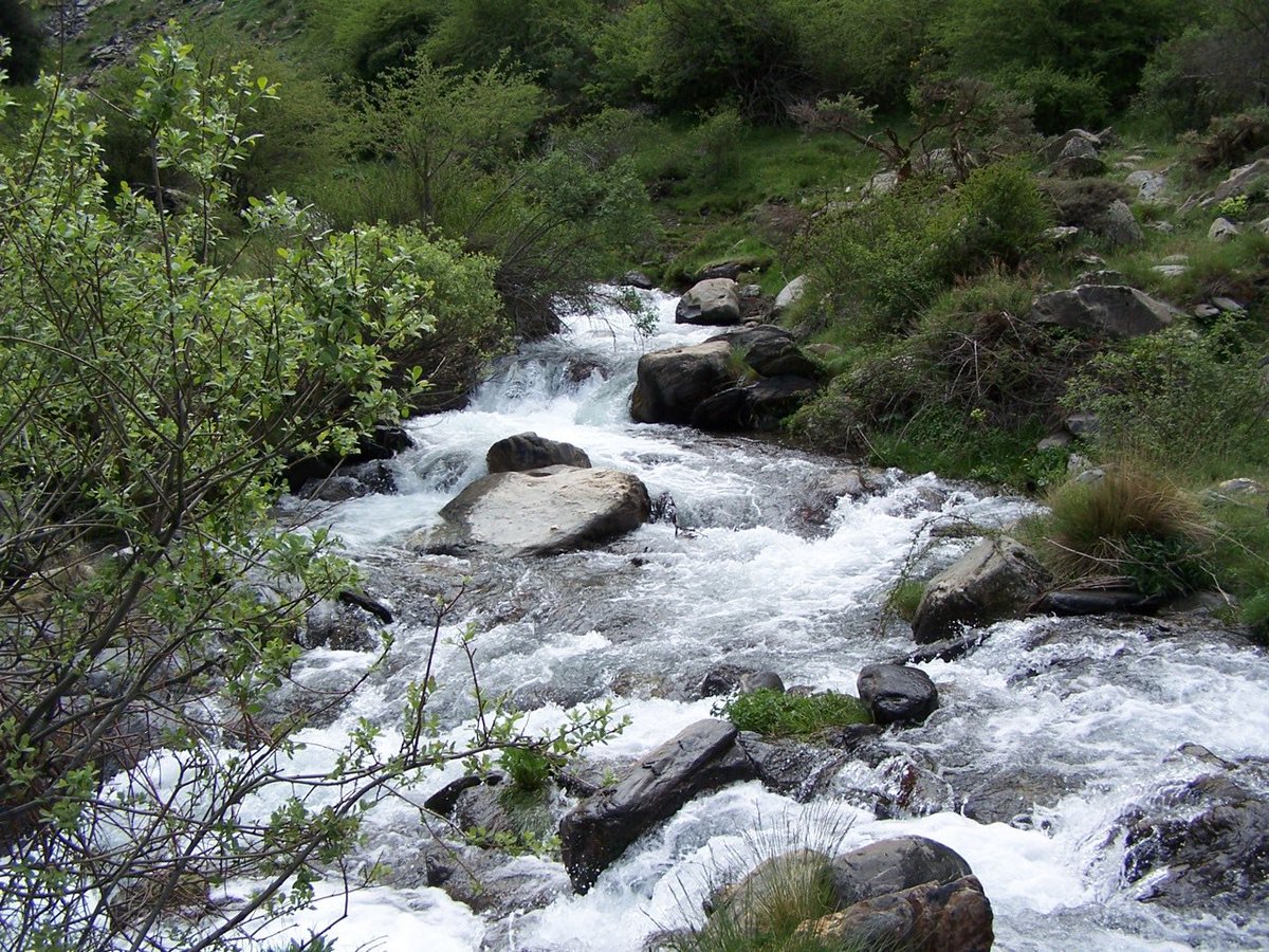 y9299's tweet image. نهر شنيل (Río Genil) وأذهان القراء
قال الدمياطي ت٧٠٥: أنشدنا علي بن موسى ابن سعيد ت٦٨٥:
كأنّما النهرُ صفحةٌ كُتِبَتْ
أَسْطُرُها والنسيمُ مُنْشِئُها
لمّا أبانتْ عن حُسن منظرهِ
مالتْ عليه الغصون تَقْرَؤُهَا
#معجم_الدمياطي