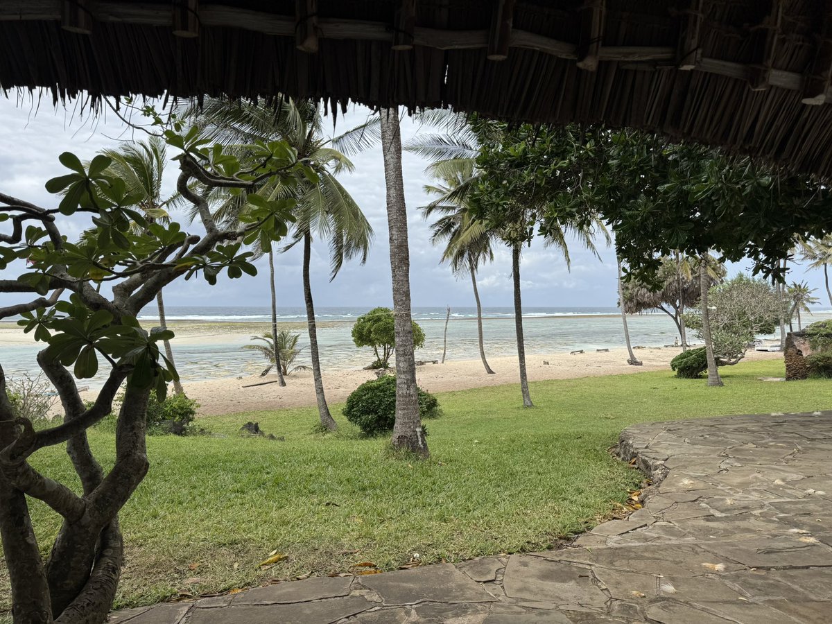 Great Academy Ashton Geography Department tweet media