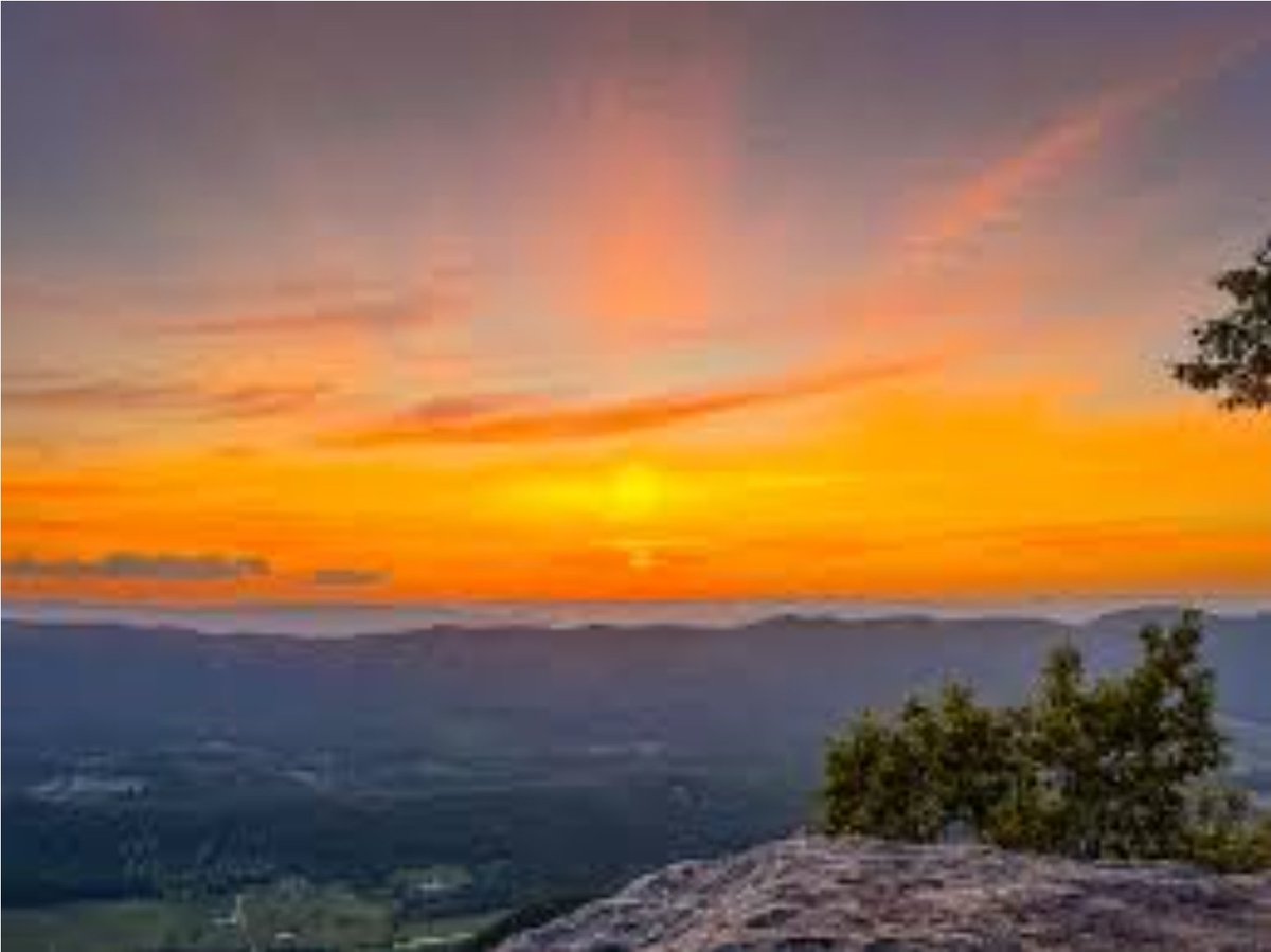 Skol__Minnesota's tweet image. Who doesn&apos;t love North Carolina?