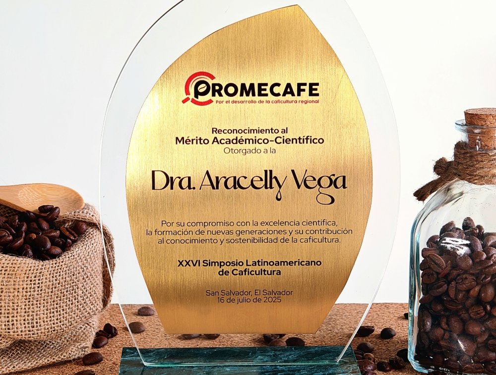 H.D. Carlos Saldaña tweet media