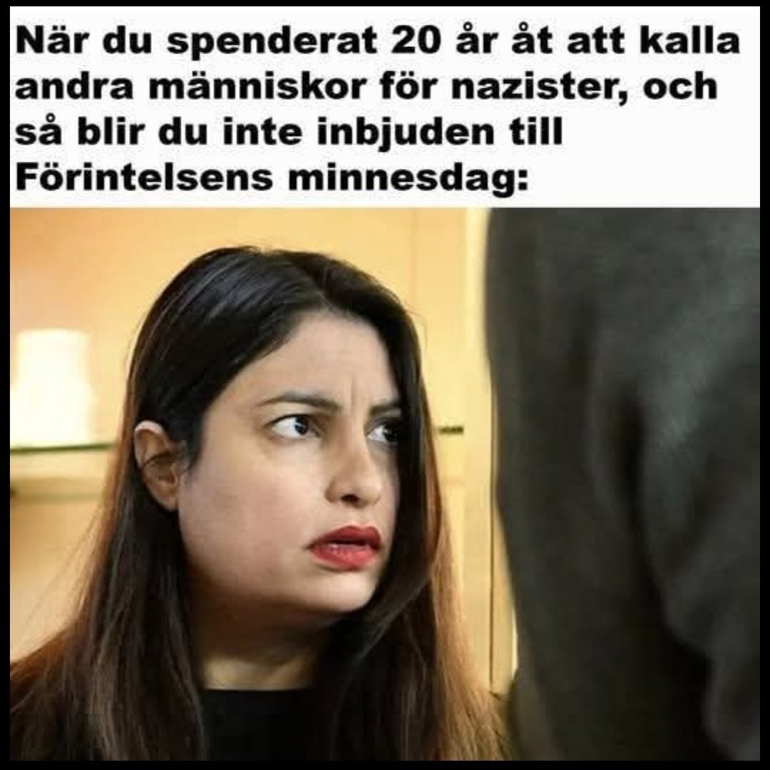 TeodorMG's tweet image. Idag har jag blivit kallad "nazist" och "zio bot". Upphör aldrig helt att förundras över hur jag kan bli beskylld för att vara zionist och nazist samtidigt. Något har ju gått fel där? Det kan vi väl ändå enas om?