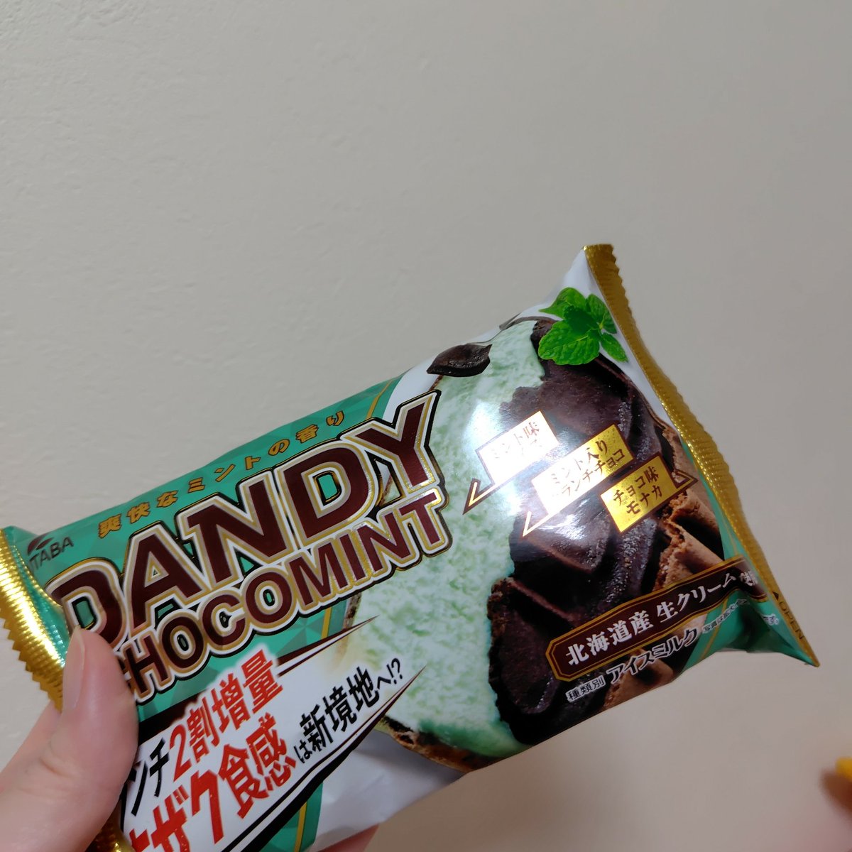nf_panda0901's tweet image. セブン限定のチョコミント美味しかったぁ☺️