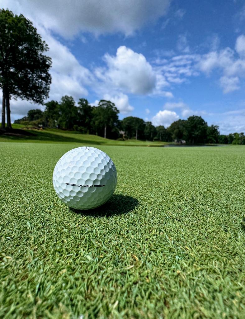 ADVICE FOR ALL GOLFERS...
Stop badgering your course Super for more green speed 🤔.
Low mowing, excessive rolling and bad advice may kill ⛳.
Leave it to your Super to decide when to back off during the heat of summer 🌞.
Leave the greenkeeping decisions to the professional.