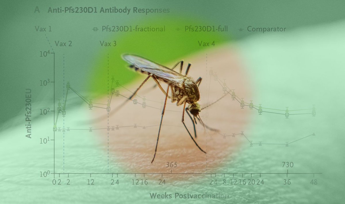 NEJMEvidence's tweet image. Original Article: “A Vaccine to Block 𝘗𝘭𝘢𝘴𝘮𝘰𝘥𝘪𝘶𝘮 𝘧𝘢𝘭𝘤𝘪𝘱𝘢𝘳𝘶𝘮 Transmission” by S.A. Healy et al. eviden.cc/46a8CN7
#IDTwitter #GlobalHealth