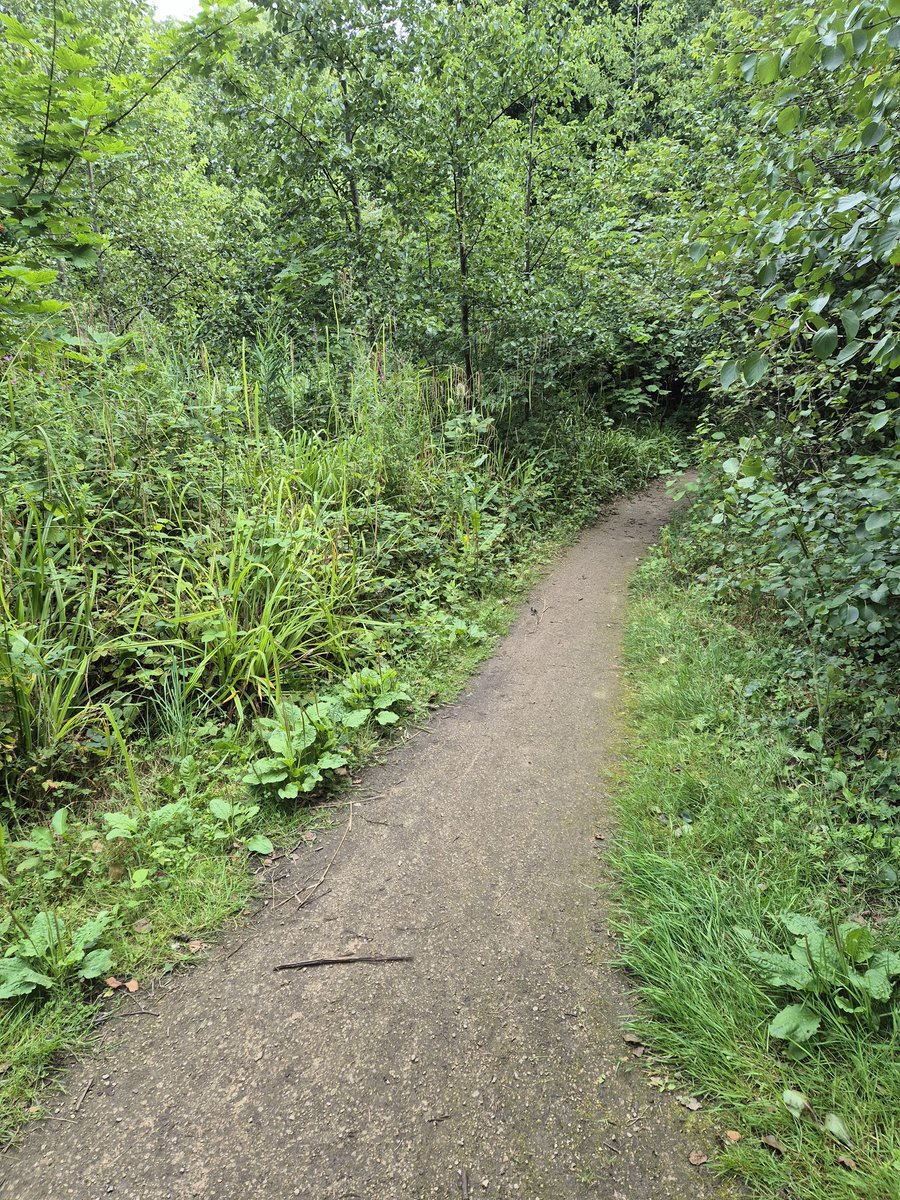 Come along tomorrow morning (Saturday) from 11am-1pm and help up weed and tidy the woodland trail.

Meet at the main entrance on Riverside Drive at 11am. 🌳