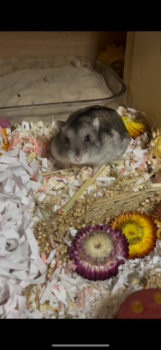 정말정말 오랜만에 근황..