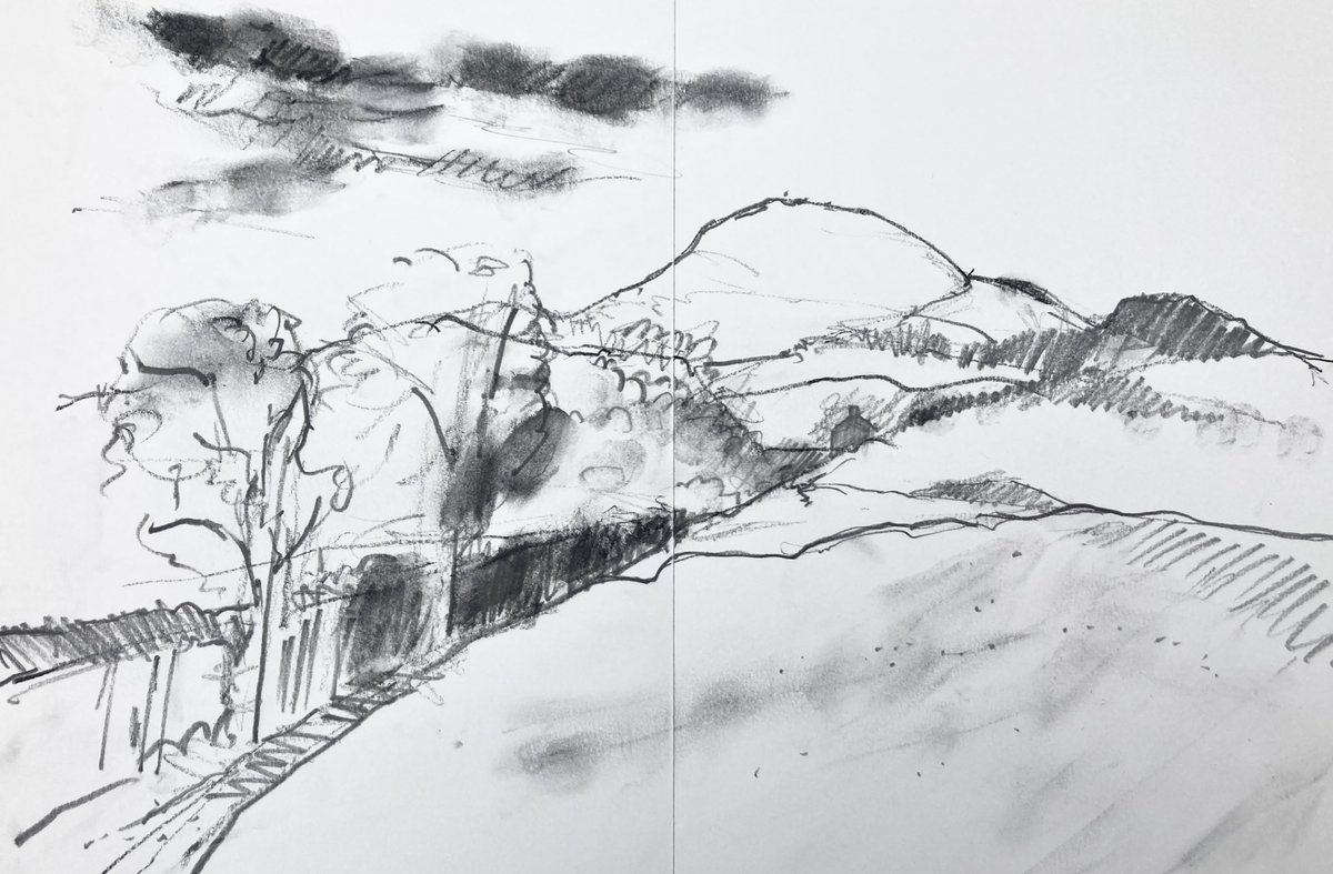 The trees have a heavy dark green velvet curtain feel to them, as if they are being pulled open and shut on the cool wind that blows in from the Tay.