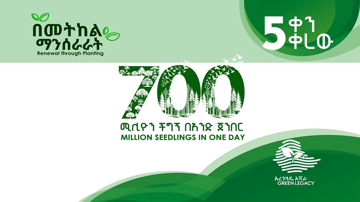 PMEthiopia's tweet image. 5 ቀን ቀረው!
ሐምሌ 24 ፣2017 700 ሚሊዮን ችግኝ በአንድ ጀንበር። እንዘጋጅ!
5 days remaining!
July 31, 2025 #Ethiopia will attempt planting 700 million seedlings in one day. Let’s get ready as the count down begins.
#አረንጓዴዐሻራ
#GreenLegacy
#PMOEthiopia