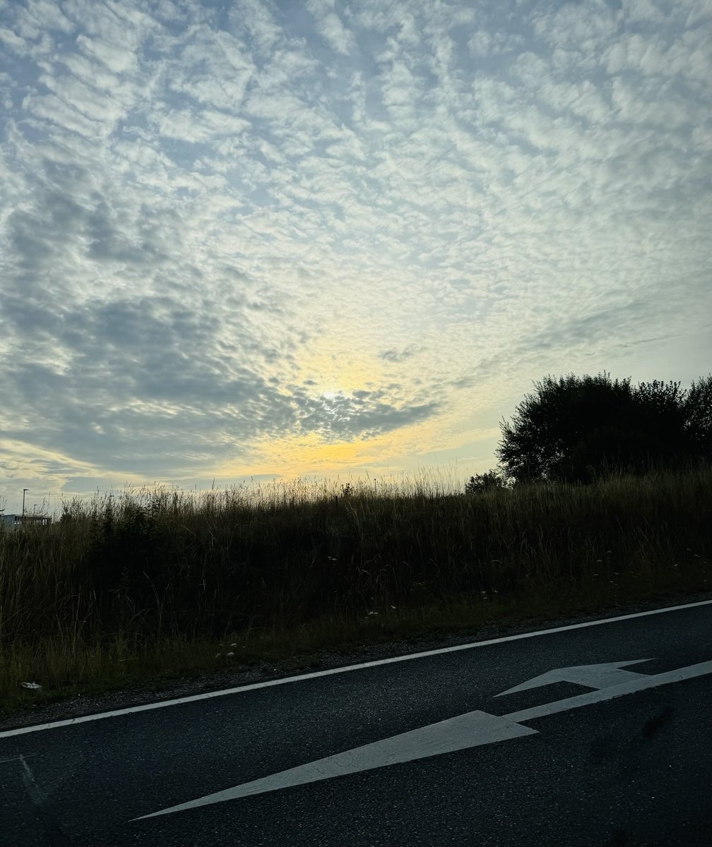 AHildebrandt70's tweet image. „Es gibt keine Sicherheit, nur verschiedene Grade der Unsicherheit.“
- Anton Tschechow
Foto aus dem Transporttaxi heute früh: Kann die Chemo stattfinden oder nicht? Da die Blutwerte zu schlecht waren und erhöhte Infektionsgefahr bestand, musste der Termin verschoben werden.