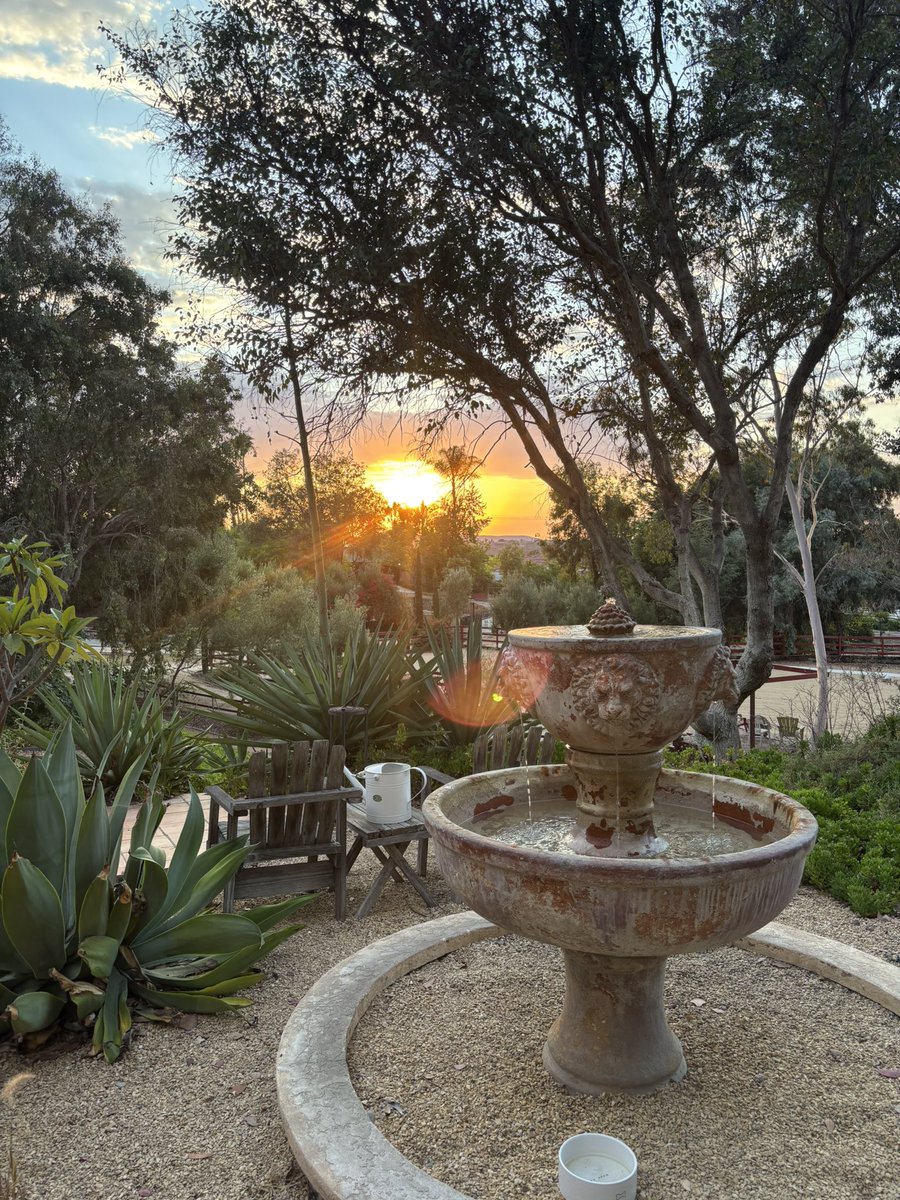 Sid Griffin tweet media